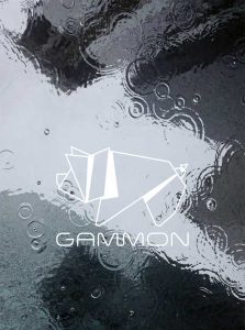 Gammon -contacts